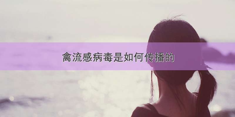 禽流感病毒是如何传播的