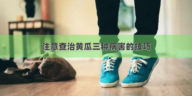 注意查治黄瓜三种病害的技巧