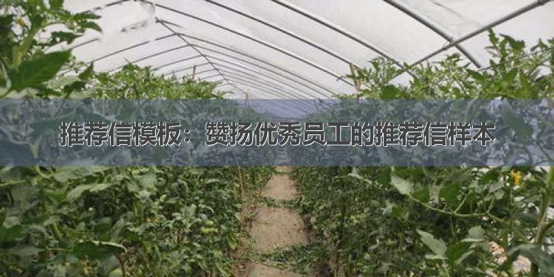 推荐信模板：赞扬优秀员工的推荐信样本