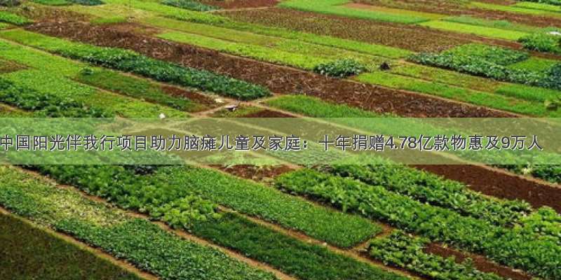 中国阳光伴我行项目助力脑瘫儿童及家庭：十年捐赠4.78亿款物惠及9万人