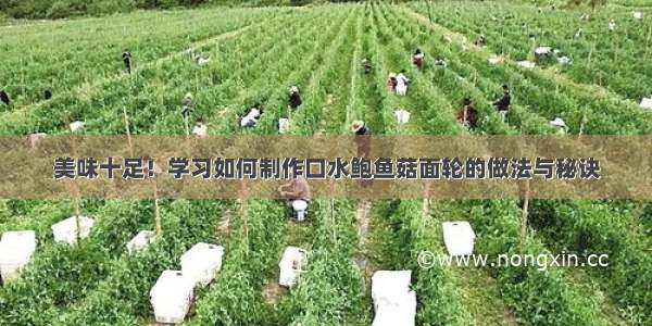 美味十足！学习如何制作口水鲍鱼菇面轮的做法与秘诀