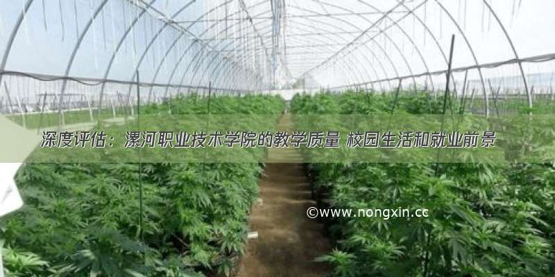 深度评估：漯河职业技术学院的教学质量 校园生活和就业前景