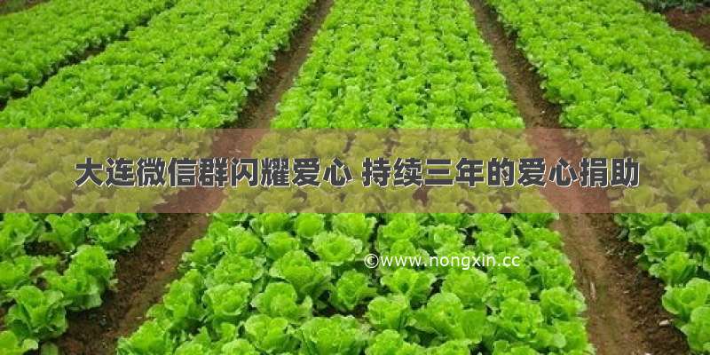 大连微信群闪耀爱心 持续三年的爱心捐助