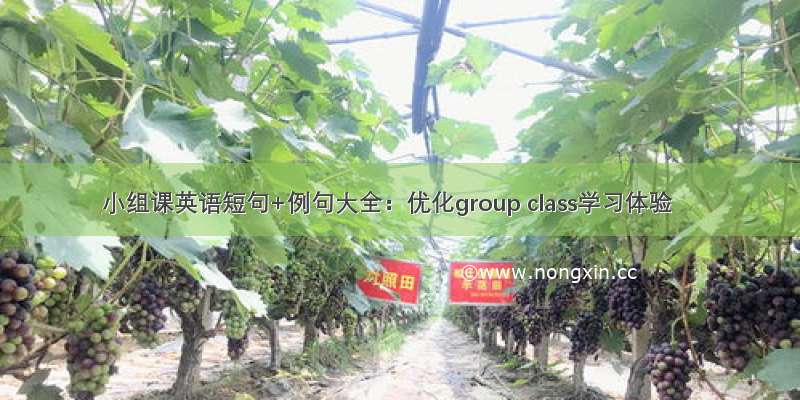 小组课英语短句+例句大全：优化group class学习体验