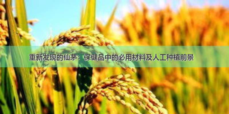 重新发现的仙茅：保健品中的必用材料及人工种植前景