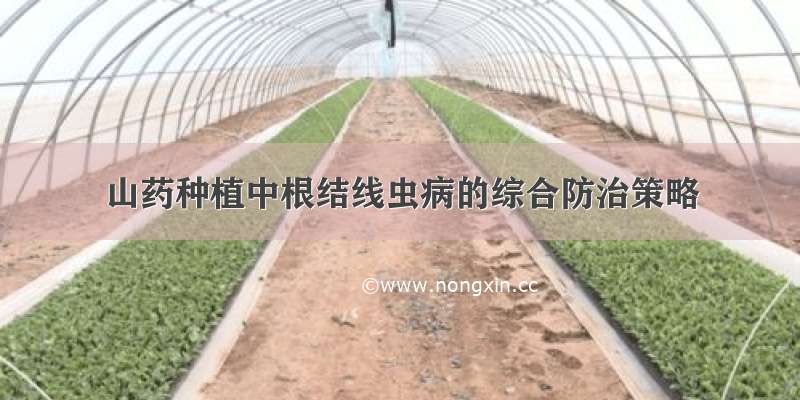 山药种植中根结线虫病的综合防治策略