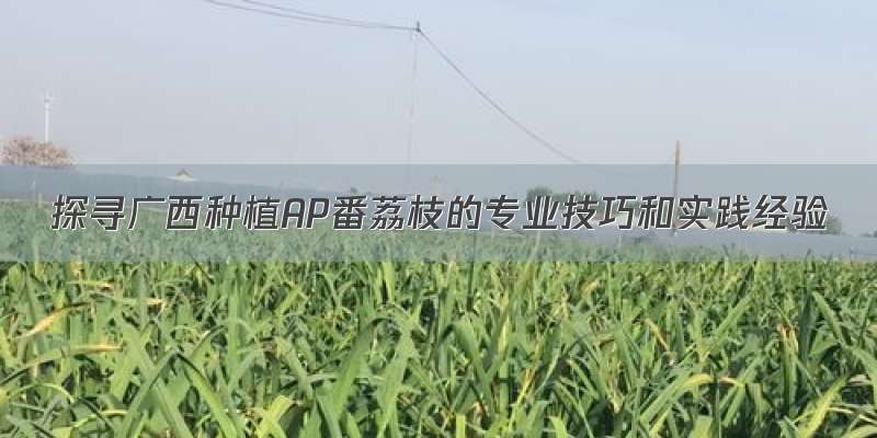 探寻广西种植AP番荔枝的专业技巧和实践经验