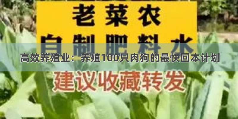 高效养殖业：养殖100只肉狗的最快回本计划