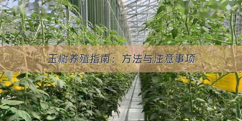 玉树养殖指南：方法与注意事项