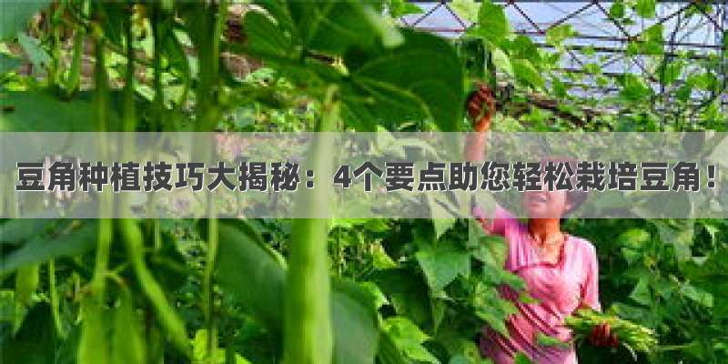 豆角种植技巧大揭秘：4个要点助您轻松栽培豆角！