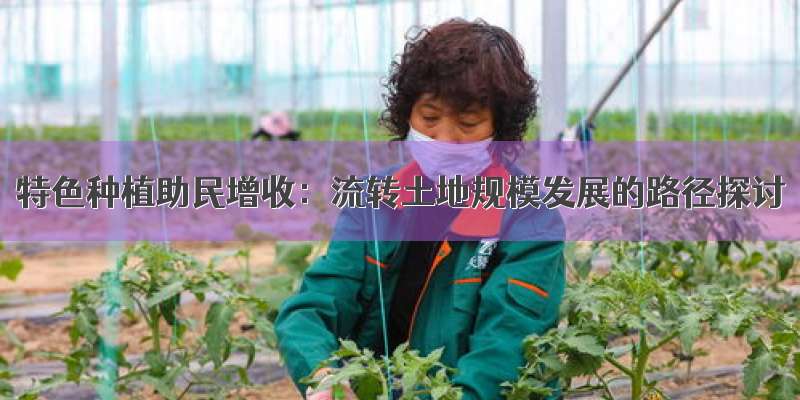 特色种植助民增收：流转土地规模发展的路径探讨