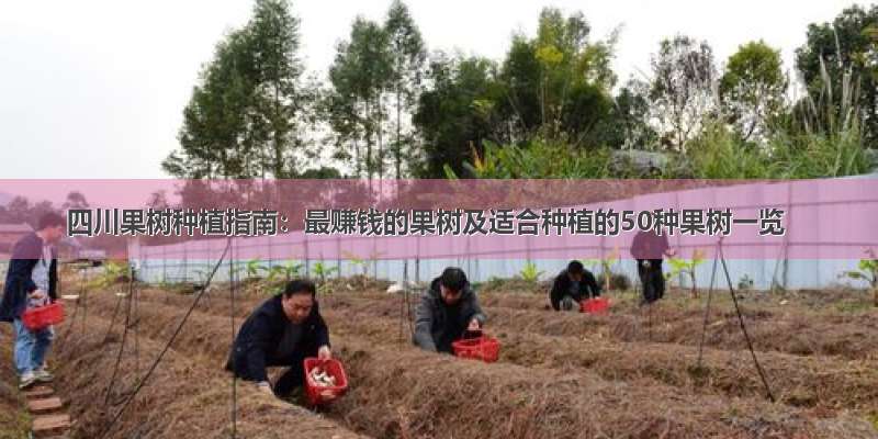 四川果树种植指南：最赚钱的果树及适合种植的50种果树一览