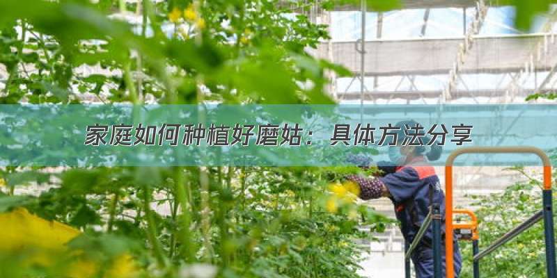 家庭如何种植好磨姑：具体方法分享