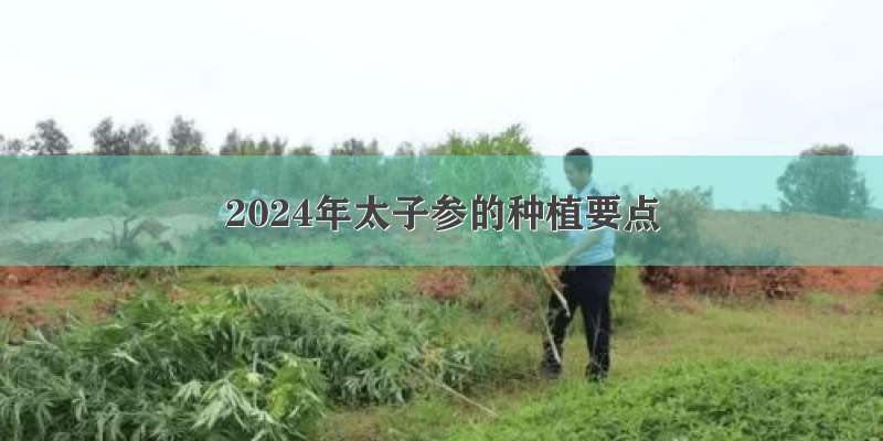 2024年太子参的种植要点