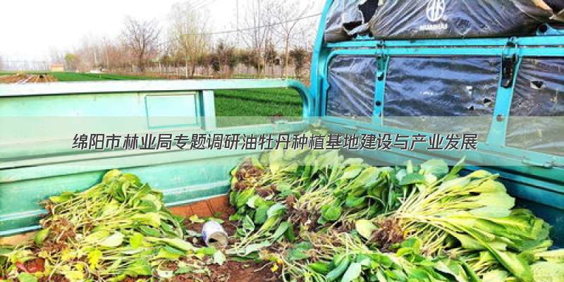 绵阳市林业局专题调研油牡丹种植基地建设与产业发展