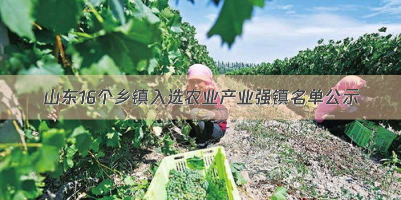 山东16个乡镇入选农业产业强镇名单公示