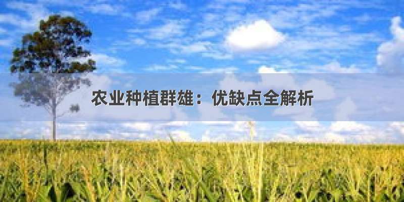 农业种植群雄：优缺点全解析