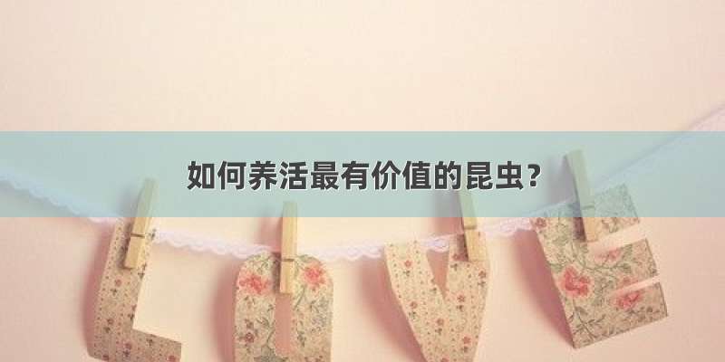 如何养活最有价值的昆虫？