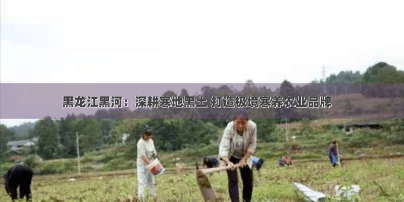 黑龙江黑河：深耕寒地黑土 打造极境寒养农业品牌