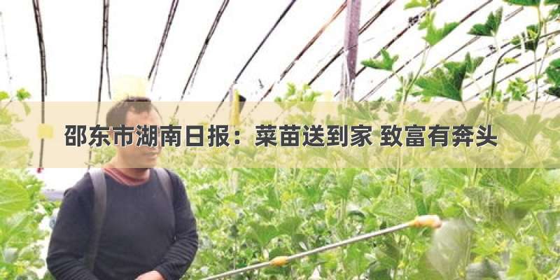 邵东市湖南日报：菜苗送到家 致富有奔头