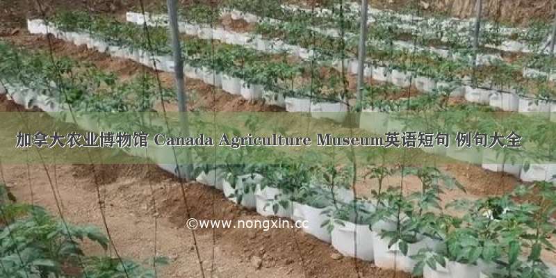 加拿大农业博物馆 Canada Agriculture Museum英语短句 例句大全