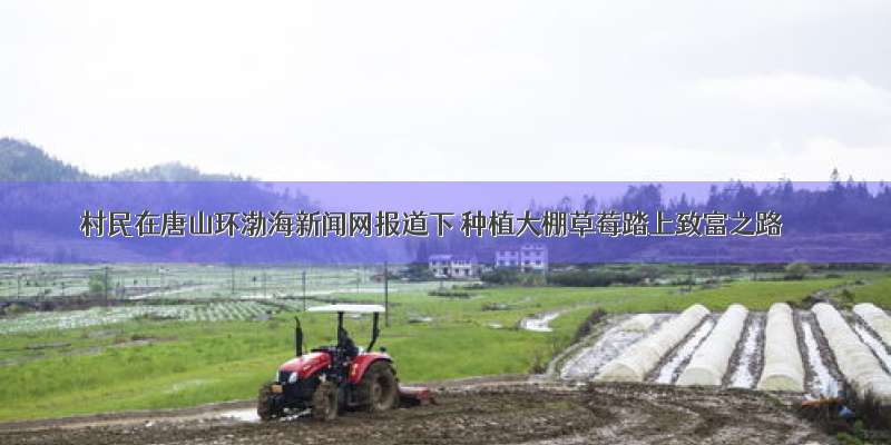 村民在唐山环渤海新闻网报道下 种植大棚草莓踏上致富之路