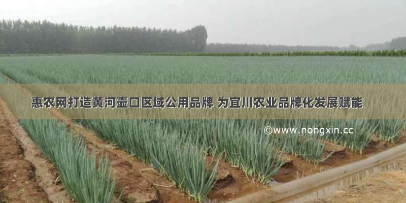 惠农网打造黄河壶口区域公用品牌 为宜川农业品牌化发展赋能
