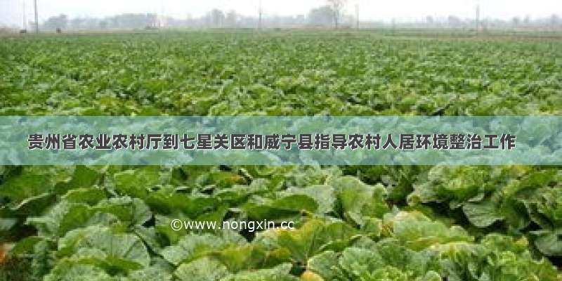 贵州省农业农村厅到七星关区和威宁县指导农村人居环境整治工作