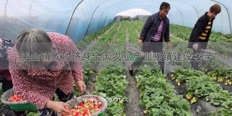 姜山镇成功跻身全国农业产业强镇建设名录