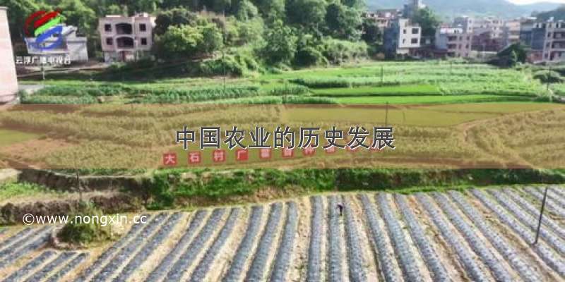 中国农业的历史发展