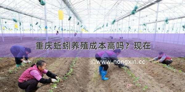 重庆蚯蚓养殖成本高吗？现在
