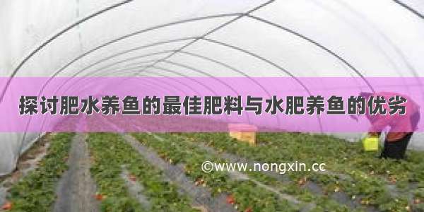 探讨肥水养鱼的最佳肥料与水肥养鱼的优劣