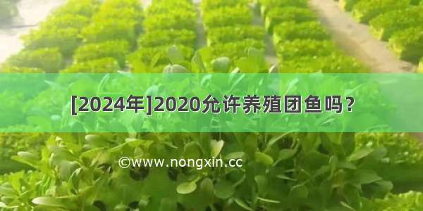 [2024年]2020允许养殖团鱼吗？