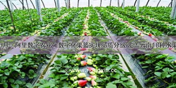 （06月）阿里数字农业：数字化果篮实现品质分级 覆盖云南18种水果产地