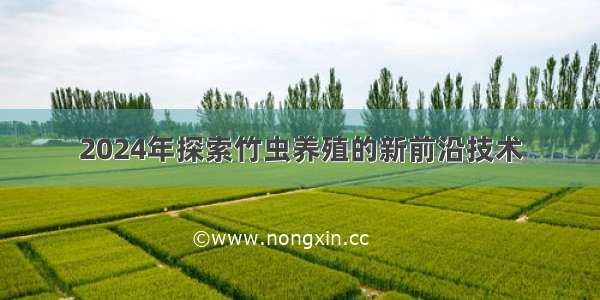2024年探索竹虫养殖的新前沿技术
