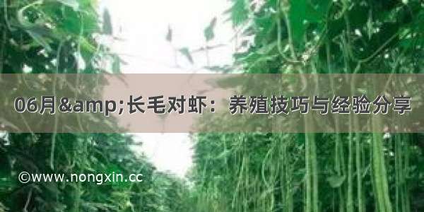 06月&长毛对虾：养殖技巧与经验分享