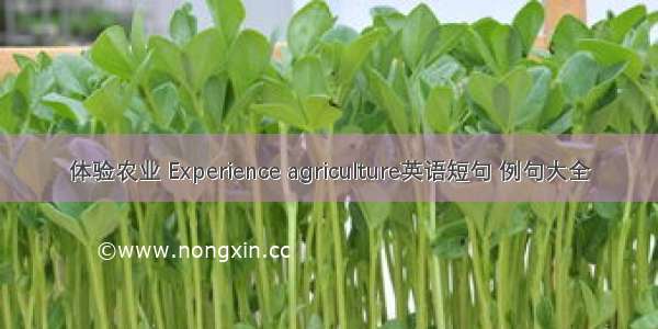 体验农业 Experience agriculture英语短句 例句大全